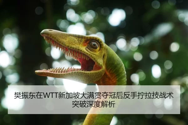 樊振东在WTT新加坡大满贯夺冠后反手拧拉技战术突破深度解析