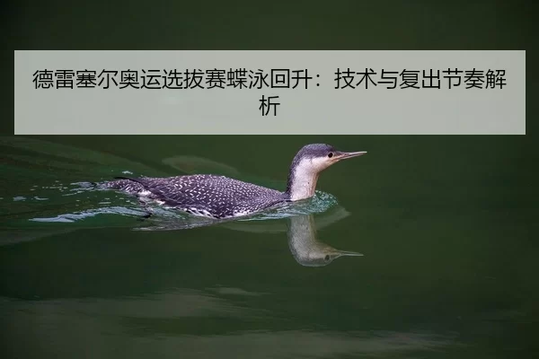 德雷塞尔奥运选拔赛蝶泳回升：技术与复出节奏解析