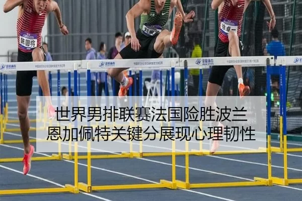 世界男排联赛法国险胜波兰 恩加佩特关键分展现心理韧性
