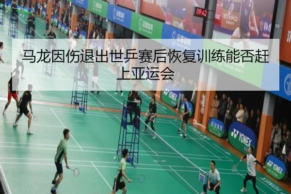 马龙因伤退出世乒赛后恢复训练能否赶上亚运会